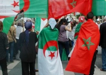 بعد خطاب ”اليد الممدودة”…هذه  أبرز ردود أفعال الرأي العام الجزائري