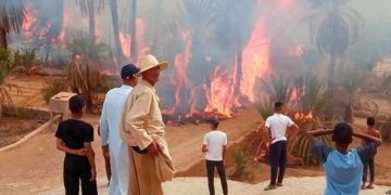 الطائرات البرمائية “كنداير سي إل 415” تمكن السلطات من اخماد حرائق واحة بزاكورة