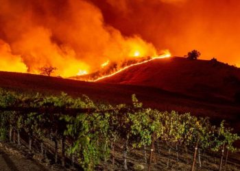 طائرات كنادير تواصل مكافحة حرائق الغابات بالمغرب آخرها حريق كتامة ضواحي الحسيمة