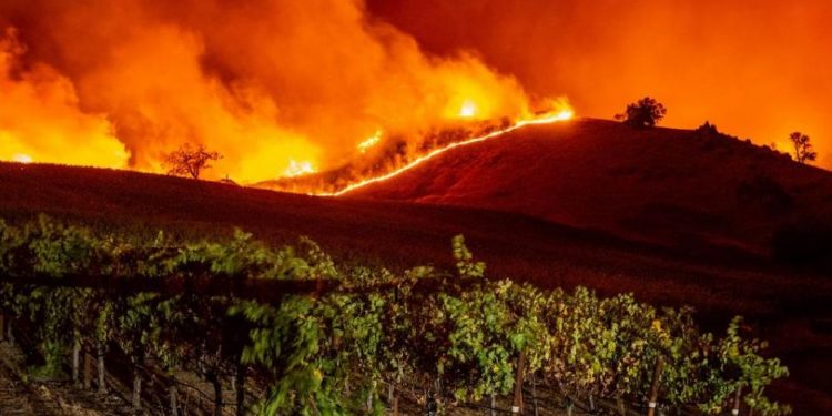 طائرات كنادير تواصل مكافحة حرائق الغابات بالمغرب آخرها حريق كتامة ضواحي الحسيمة