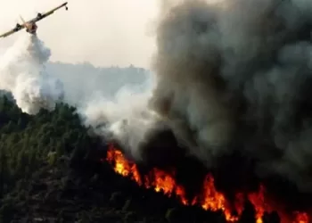 المغرب يستنفر امكانياته لإطفاء حرائق اجتاحت مناطق متفرقة من البلاد مخلفة خسائر مادية