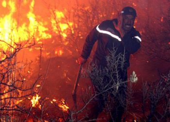 5  قتلى جراء حرائق الغابات في 31 منطقة بالجزائر والسلطات تشك في وجود فعل اجرامي وراءها