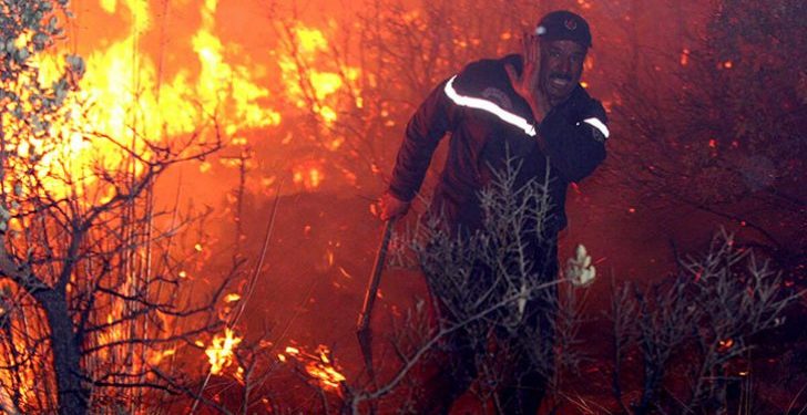 5  قتلى جراء حرائق الغابات في 31 منطقة بالجزائر والسلطات تشك في وجود فعل اجرامي وراءها