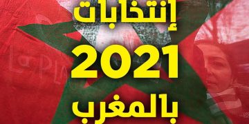 مكروطروطوار..قالوا عن بيع الناخبين لأصواتهم