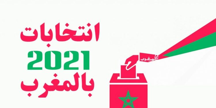 مكروطروطوار.. هل ستصوت؟ وعلى من؟