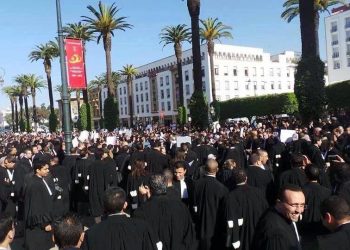 عاجل.. فدرالية المحامين الشباب بالمغرب ترد على قرار عبد النباوي ووهبي والداكي الخاص بالزامية الجواز لولوج المحاكم وتصفه بغير الدستوري والمتعارض مع المواثيق الدولية لحقوق الإنسان