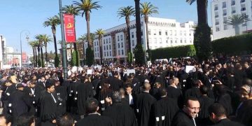 عاجل.. فدرالية المحامين الشباب بالمغرب ترد على قرار عبد النباوي ووهبي والداكي الخاص بالزامية الجواز لولوج المحاكم وتصفه بغير الدستوري والمتعارض مع المواثيق الدولية لحقوق الإنسان