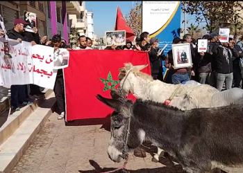 بعد تازة..الحمير ضمن احتجاجات ساكنة أولاد الطيب ضواحي فاس على العطش والكهرباء((+فيديو))