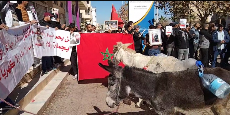 بعد تازة..الحمير ضمن احتجاجات ساكنة أولاد الطيب ضواحي فاس على العطش والكهرباء((+فيديو))