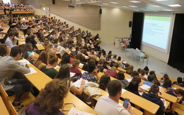 الوجه الآخر لنكبة الجامعة.. الأستاذ الجامعي المغربي ينتج نصف مقال علمي في السنة