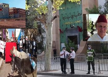 صورة مركبة