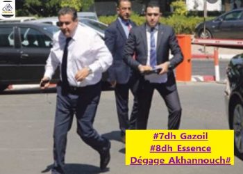 البروفيسور الإبراهيمي يدخل على خط أسعار المحروقات وينصح أخنوش بعدم ركوب خطة “دفن رأس النعامة في الرمل”