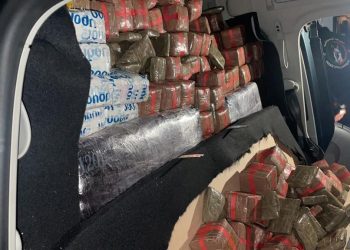 ميناء طنجة المتوسط :اعتقال فرنسي من أصل جزائري متلبسا بتهريب 840 كيلوغراما من مخدر الشيرا