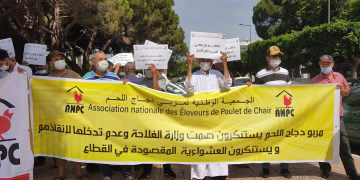 مربو الدجاج يحتجون على ارتفاع ثمن الأعلاف رغم انخفاضها الكبير بالسوق العالمي