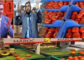 البيجدي و فضيحة شراء الطماطم من السوق الداخلية وإعادة تصديرها للخارج