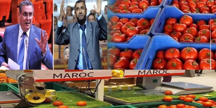 البيجدي و فضيحة شراء الطماطم من السوق الداخلية وإعادة تصديرها للخارج