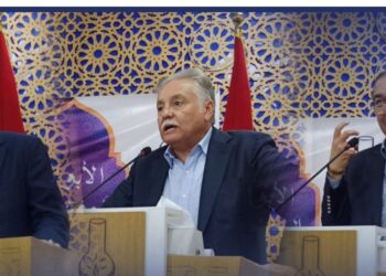 بالفيديو..  هذا ما قاله أوزين وبنعبد الله والأزمي لـ”الميادين نيوز” عن الحكومة والمعارضة والوضع في المغرب