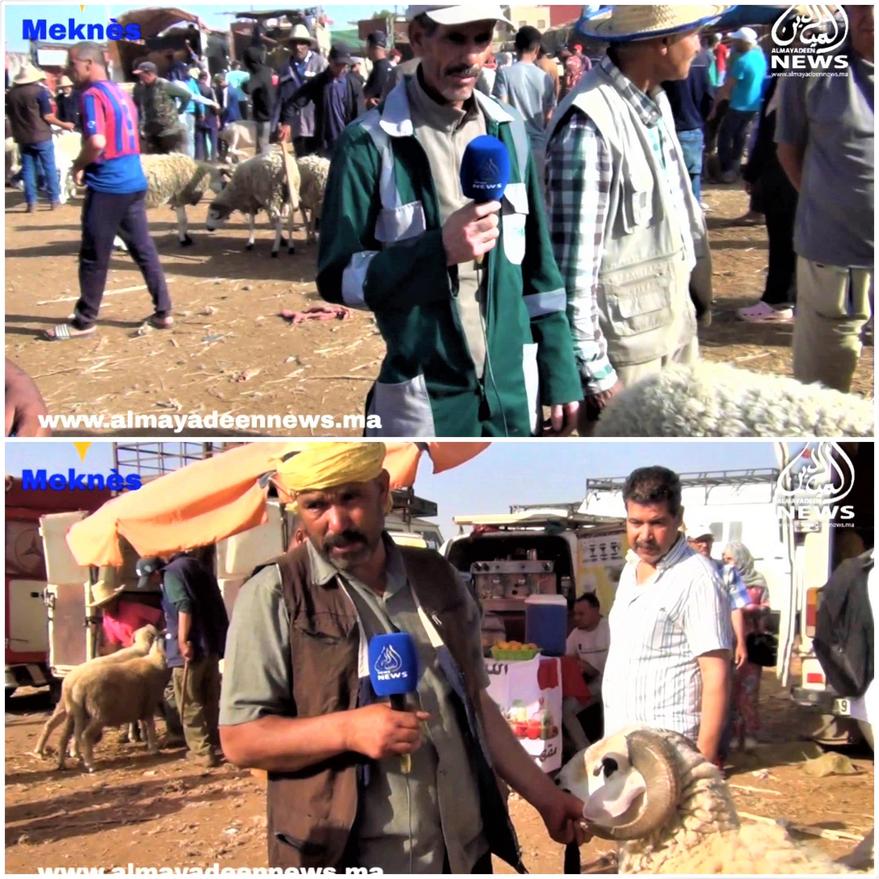 بالفيديو من مكناس: هكذا بدا سوق” صوريا “للمواشي على بعد يومين من عيد الأضحى ..الكسابة اشتكوا من دعم الحكومة للمنتوج الخارجي على حساب المنتوج الوطني