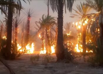 حرائق واحة طاطا تحرج حكومة أخنوش..وتكشف عن فشلها في  تدبير نظـام التغطيـة ضـد عواقـب الوقائـع الكارثيــة