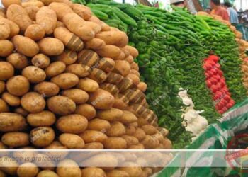 مهنيو تصدير الخضر والفواكه يحتجون على المنع الحكومي لتصدير البطاطس لإفريقيا مع استثناء السنغال