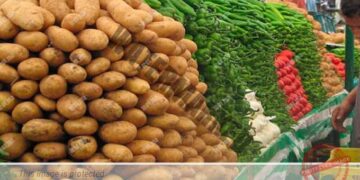 مهنيو تصدير الخضر والفواكه يحتجون على المنع الحكومي لتصدير البطاطس لإفريقيا مع استثناء السنغال