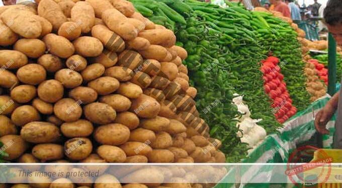 مهنيو تصدير الخضر والفواكه يحتجون على المنع الحكومي لتصدير البطاطس لإفريقيا مع استثناء السنغال