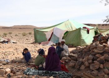 تقارير// الأفلام الوثائقية.. نوافذ مفتوحة على عوالم بدون”مكياج”