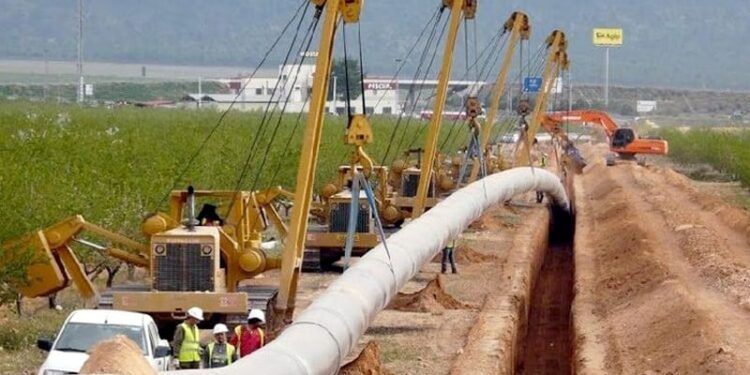 الوزيرة بنعلي: هذه آخر معطيات مشروع ربط أنبوب الغاز بين المغرب ونيجيريا