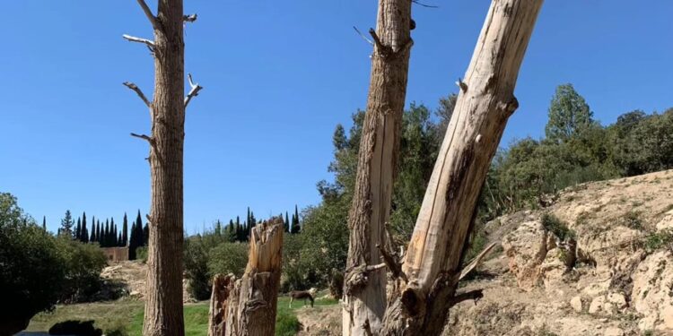 الجفاف يُهدد بحيرة”تادوت”بمنطقة سكورة مداز بإقليم بولمان