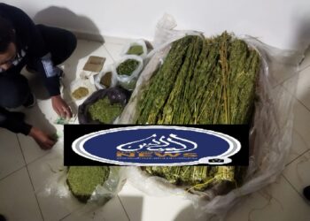 الدرك الملكي بتاهلة يلقي القبض على أكبر مروج لمخدري الكيف والشيرا