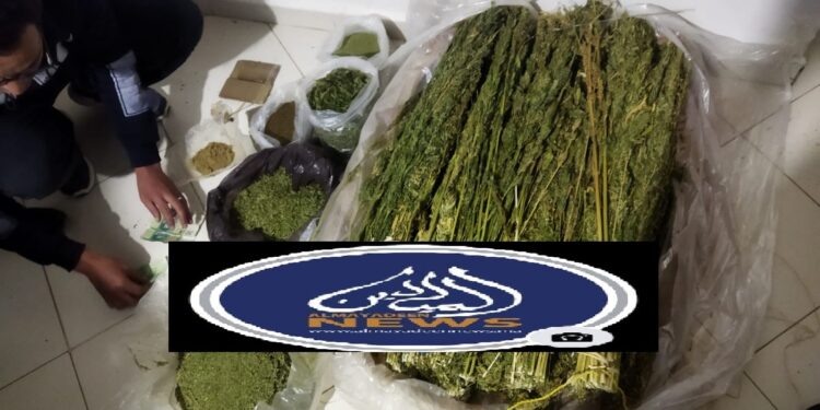 صورة خاصة بالميادين نيوز - الميادين نيوز الدرك الملكي بتاهلة يلقي القبض على أكبر مروج لمخدري الكيف والشيرا
