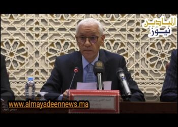 هذا ما قاله رئيس مجلس النواب عن القمة الأولى للشباب الإفريقي والأورومتوسطي للجامعة الأورومتوسطية بفاس