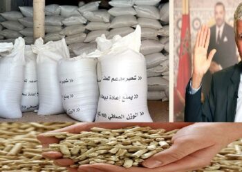 برلمانيو “البيجدي” يطالبون وزير الفلاحة بالتحقيق في شبهة التلاعبات في توزيع الأعلاف والأسمدة المدعمة