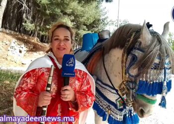 ربورتاج(فيديو) : من إيموزار كندر .. قصة عِشق ووفاء وتناغم بين امرأة أمازيغية وفرسها الأزرق