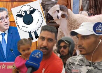 رحلة البحث عن الخروف.. مشاهد مؤلمة تسبق اللحظات الأخيرة  لحلول العيد