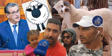 رحلة البحث عن الخروف.. مشاهد مؤلمة تسبق اللحظات الأخيرة  لحلول العيد