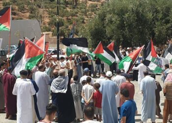 تازة تُواصل تضامنها مع غزة