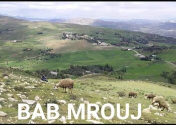 تازة : أعمدة كهربائية و أسلاكها المتدلية تهدد ساكنة دواوير جماعة” الطايفة باب البروج”