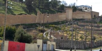 بالفيديو: سلطات تازة العليا و بلدية المدينة وسط زوبعة “إعدام” أشجار متنفس طبيعي
