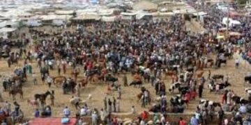 بالفيديو.. احتجاجات ضد الغلاء تهز السوق الأسبوعي لهرممو (رباط الخير) بإقليم صفرو