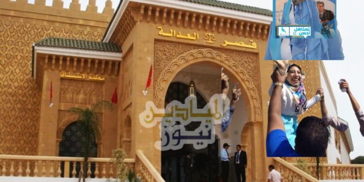 خاص :قاضي التحقيق في جرائم الأموال  يؤجل ملف الناشطة بشبيبة “الأحرار” وقطاعه النسائي لاستدعاء مصرحي محاضر الـ”BRPJ”