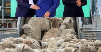 بالفيديو من الداخلة أخنوش مخاطبا الوزير بركة: “أنت كذاب.. ومافاهم والو”