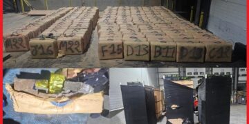 ميناء طنجة المتوسط..إجهاض عملية تهريب أزيد من 7 أطنان من مخدر الشيرا