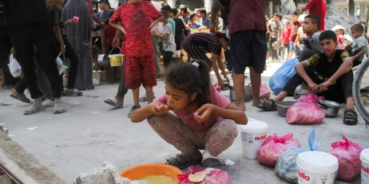 منظمة الصحة العالمية تخرج عن صمتها : الجوع الجماعي في غزة سببه الحصار الإسرائيلي