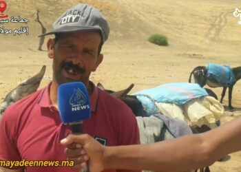 في”مغرب بسرعتين”: جماعة سيدي داوود بإقليم مولاي يعقوب.. السكان يطالبون فقط بالطريق وماء الشرب(فيديو)