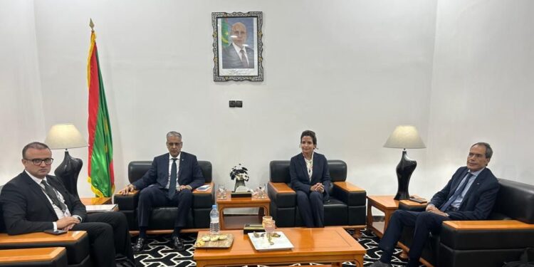 بنواكشوط الوزيرة بنعلي مع نظيرها الموريتاني.. مباحثات حول تسريع التعاون في مجالات الكهرباء والطاقات المتجددة