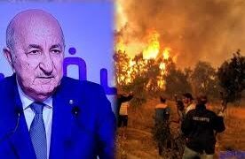 هلع في الجزائر بسبب حرائق نونبر الجاري..والرئيس تبون يأمر بفتح تحقيق