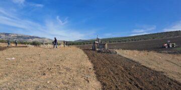 بالفيديو(ربورتاج): موسم الحرث ينطلق بمولاي يعقوب(جماعة لعجاجرة) وسط شكاوى الفلاحين من “شح” برامج الدعم والتتبع