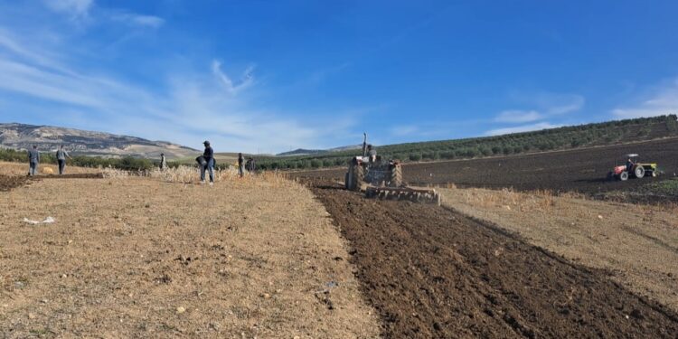 بالفيديو(ربورتاج): موسم الحرث ينطلق بمولاي يعقوب(جماعة لعجاجرة) وسط شكاوى الفلاحين من “شح” برامج الدعم والتتبع