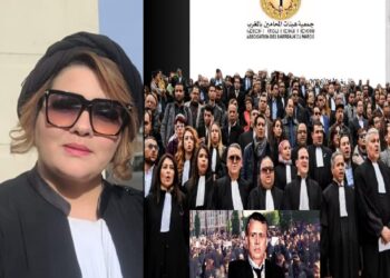 بسبب ورقة التوقف الشامل: المحامية الإبراهيمي تدخل على خط عمليات شد الحبل”بحلبة” قانون المهنة
